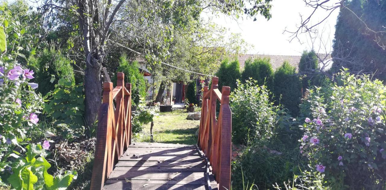 Tărcaia Balla House المظهر الخارجي الصورة