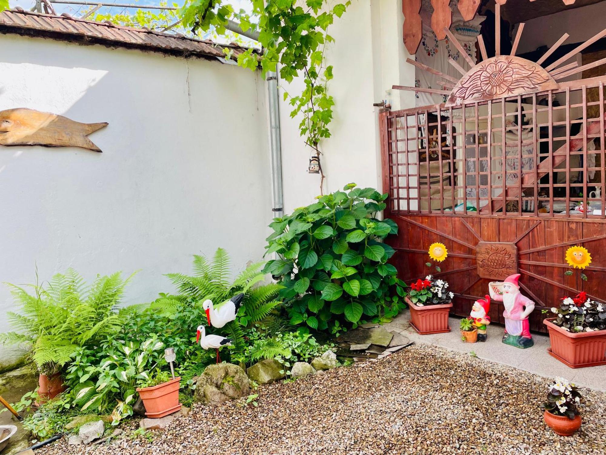 Tărcaia Balla House المظهر الخارجي الصورة